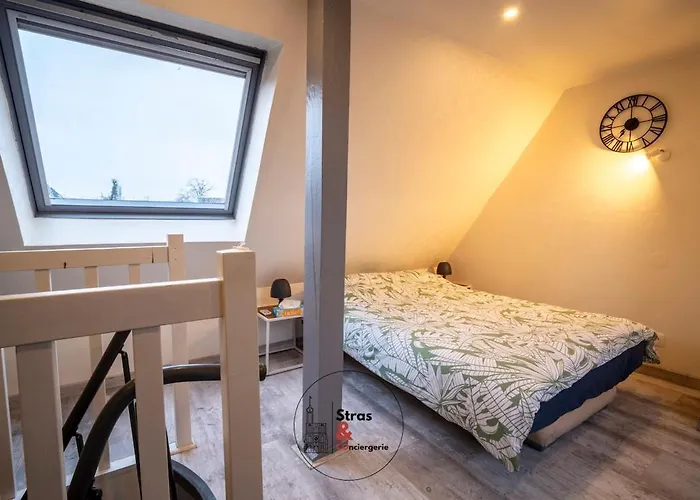 Calme Et Confort Au Stockfeld Strasbourg